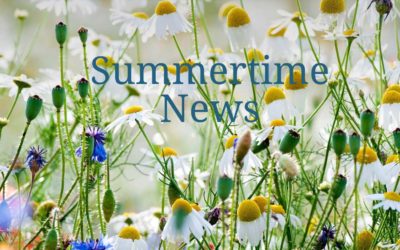 Interview with Jo Parfitt, Summertime News